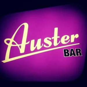 Bar icon auster