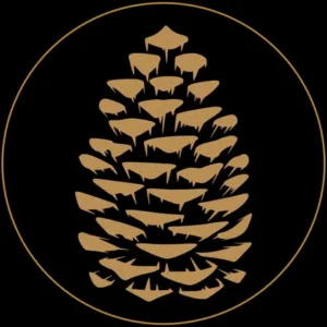 Bar icon black forest